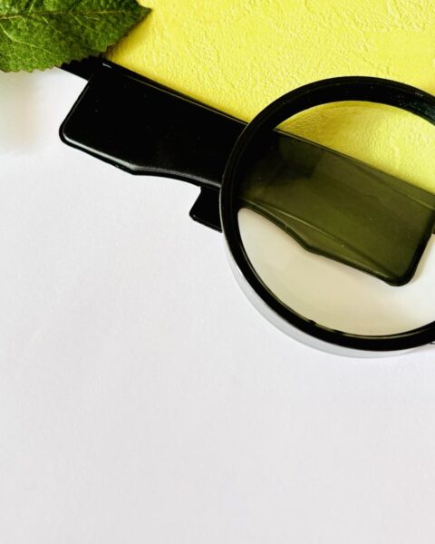 バインダーと虫眼鏡